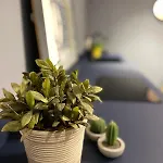 Appartement Imbriani Urban Loft