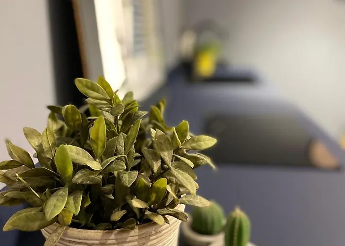 Apartment Imbriani Urban Loft