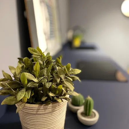 Apartment Imbriani Urban Loft